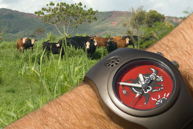 Joey Skaggs' Universal Bullshit Detector Watch